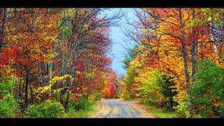 Dawn Of A New Time - For The Soul