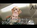水曜どうでショーン