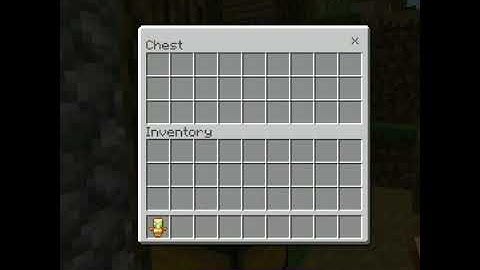 Can Totem protect us from /kill command?🤔🤔