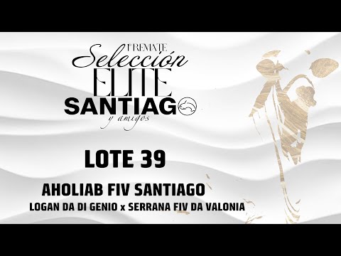 Lote 39   Aholiab FIV Santiago