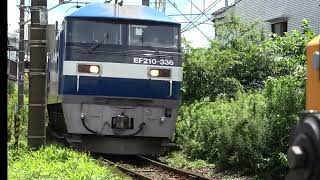 尻手短絡線を行くEF210-336/8765レ(川崎貨1123発→新鶴見1142着)