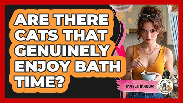 Are There Cats That Genuinely Enjoy Bath Time? - Happy Cat Handbook