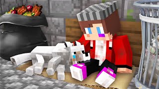 Poor JJ with Dog Sad Story but Happy End with Mikey - Maizen Minecraft Animation
