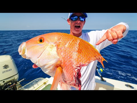 These Fish Kept me very Busy! Snapper Fishing by catch Catch & Cook 