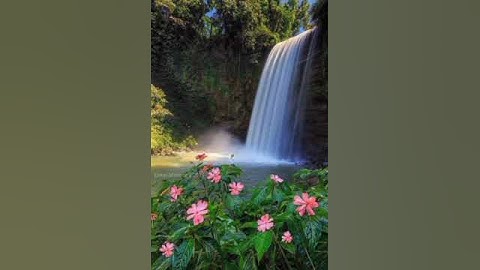 سورة المائدة بصوت الشيخ مشاري راشد العفاسي 🌸 إلا بذكر الله تطمئن القلوب 🌸