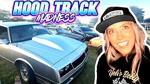 Is Yello-Belly Too Dangerous?!