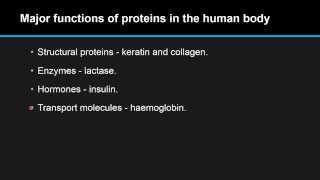 B.2.6 List the major functions of proteins in the body.