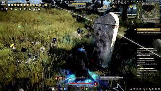 LETS ASSUME ALL OF OUR PLAYERS USE BOTS!! Black desert online