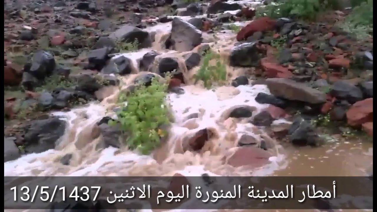 امطار المدينة المنورة اليوم الاثنين 13 5 1437 Youtube