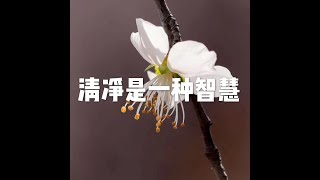 201709 清净是一种智慧23599