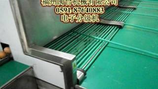 MT-108D  electronic grading machine