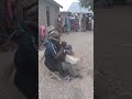 A Special Dance For Twins And Babies Born Feet First The Dance Of Wakango A Special Dance For Twins And Babies Born Feet First The Dance Of Wakango