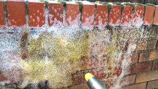 Soft Wash Pro 50 Biocide & IPS Pro Cordless Sprayer 12v screenshot 5