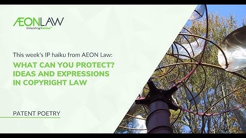 Understanding the Idea/Expression Dichotomy in Copyright Law