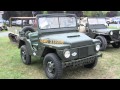 restored Jeeps, mutts, and mighty mite detail walk around