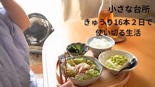 暑い夏を乗り切る。大量のきゅうりを使い切る2日間【小さな台所の日常】