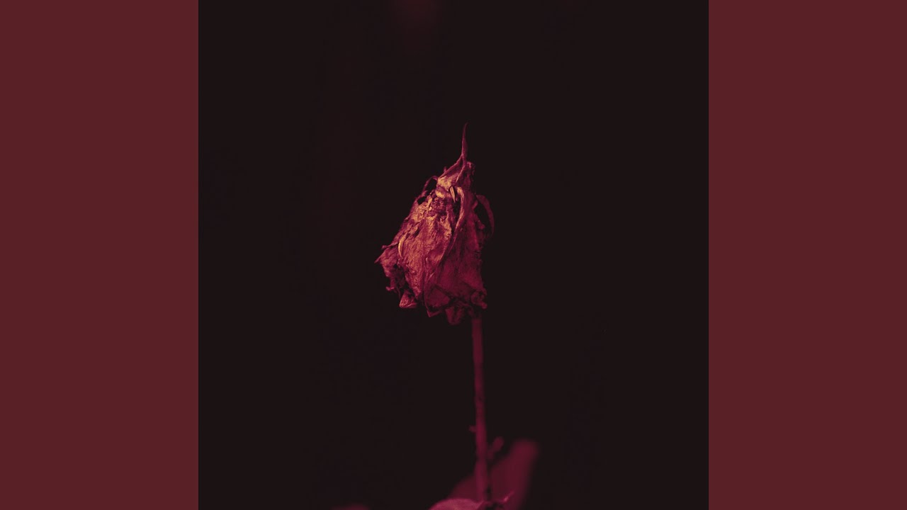 Falling (Reviny Remix)