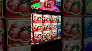 Casino Slots Fruits Of Fortune 10 Euro Win With 10 Cent Bet