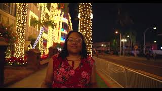 Career Overview Riverside Festival of Lights 2025