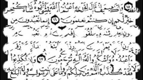 سورة العنكبوت 'من الآية ١ إلى الاية ٣٠' بصوت الشيخ فارس عباد