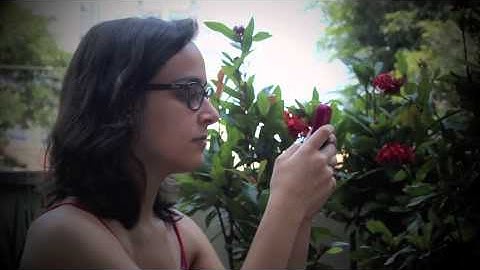 Para se conectar, DESCONECTE-SE!