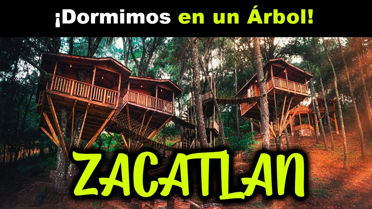KALI TREE ZACATLÁN de las Manzanas: Dormir una CASA del ÁRBOL 🏠🌲