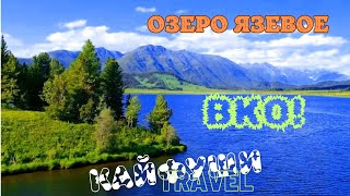 видео: 6 серия ВКО озеро Язевое, Алтай. Природа Казахстана. картинка: 6 серия ВКО озеро Язевое, Алтай. Природа Казахстана.