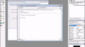 cadena invertida en visual basic