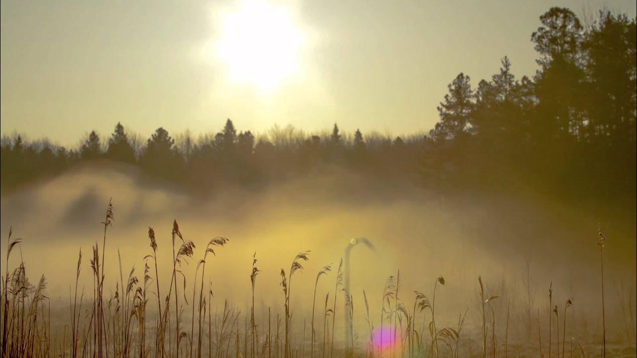 Туманы песня видео. Туман песня 2022. Туманы песня видео. Девушка из клипа джаямми туман. Песня туман туманище.