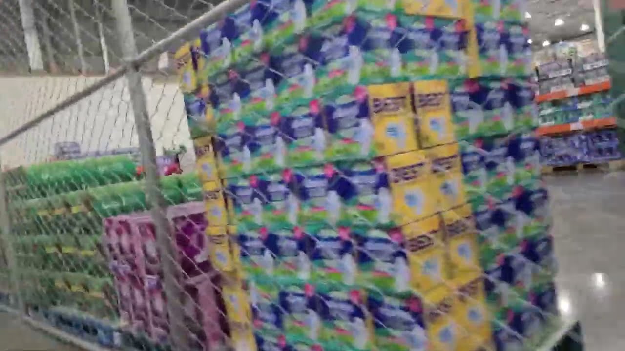 Dyson Airblade dBs | Costco Wholesale | Paicoma, CA