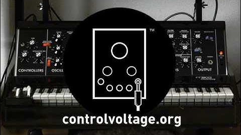 Minimoog D vs. Synthesizers.com.wmv