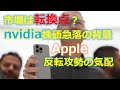 【株式市場は転換点なのか？】nvidia急落：半導体需要見通し／アップルの逆襲見通し：iPhone16にReALMは搭載されるのか？