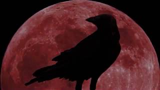 The Raven by The Alan Parsons Project in 4K UHD HQ Audio