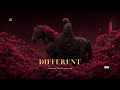 Different by SNX: Bold Hip-Hop & Trap Fusion 🎶
