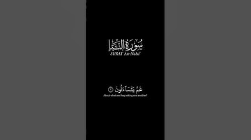 عم يتساءلون_كرومات قرآن شاشة سوداء_سورة النبأ #قران_شاشة_سوداء (على مكث)