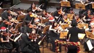 The Nutcracker 2014 Montage