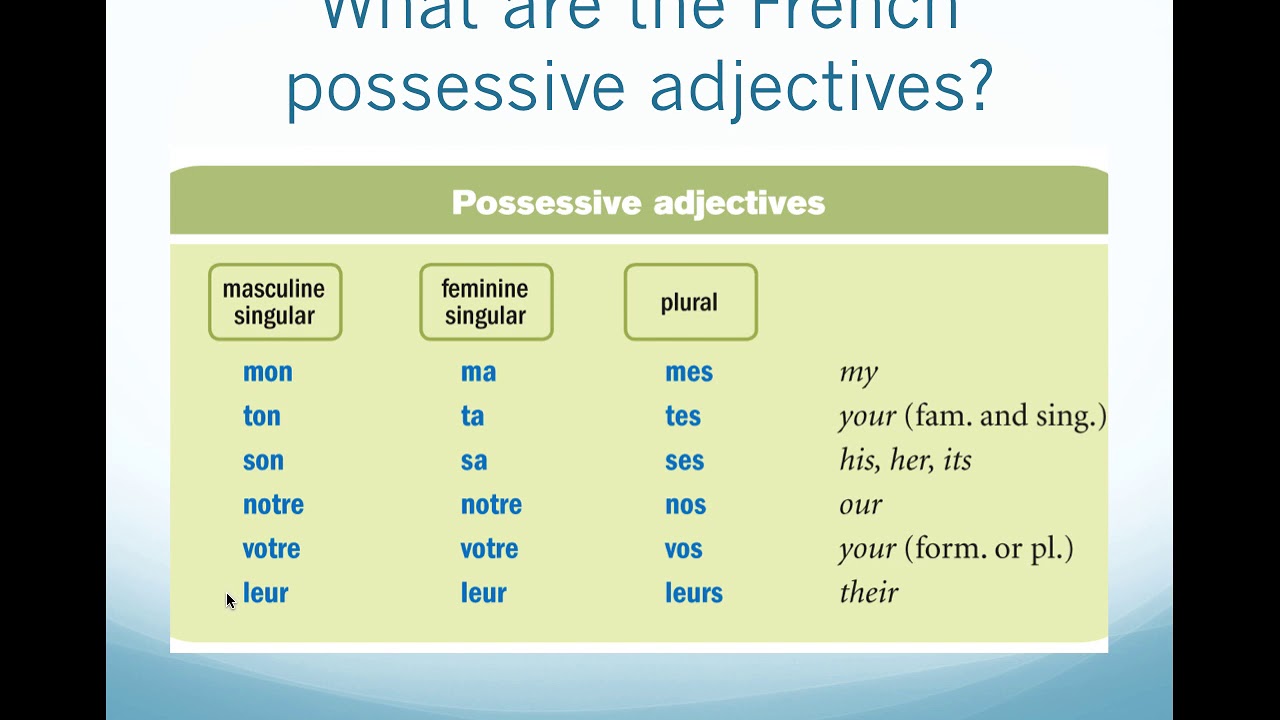 Possessive Adjectives In French YouTube