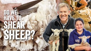 Do we have to shear sheep? Inside the Shearing Shed - Adam Henson's Farm Diaries - Ep12 by Cotswold Farm Park 9,715 views 1 year ago 19 minutes