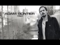 Adam gontier  wicked game