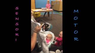 Piaget Performance Assessment-Whitney Stull