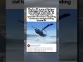 PHYSICS OF GROUND EFFECT FLIGHT