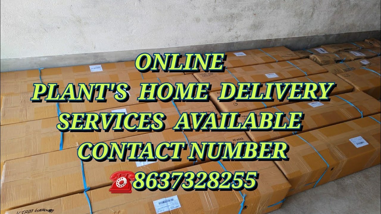 Online fruit plants home delivery service available all over India 🇮🇳