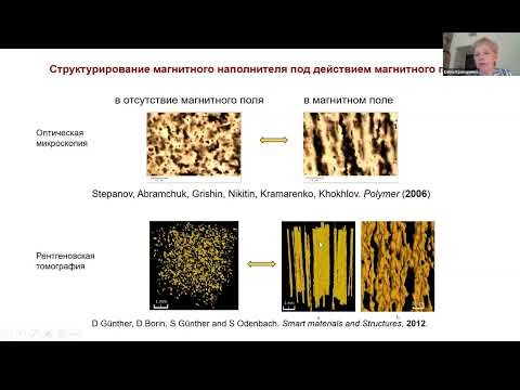 31. Е.Ю. Крамаренко. Магнитоактивные ПКМ. Современное состояние и перспективы развития