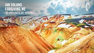 Ian Solano - Forgiving Me [Molekular Sounds] Extended