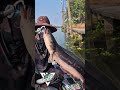 Giant snakehead on topwater lure #thailandfishing #giantsnakehead #ikantoman #thailandfishing