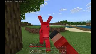 Minecraft Video