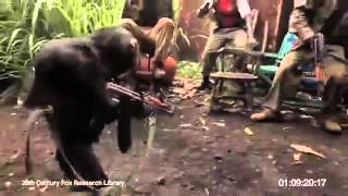 ape with AK47