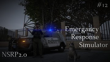 Emergency Response Simulator (ERS) In NSRP!! #12