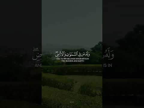 وله من في السماوات والأرض كل له قانتون سورة الروم الشيخ ياسر الدوسري