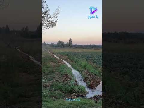 ثلاث بلدات لبنانية تحتل المراكز الاولى عالميا بمعدل الاصابة بالسرطان